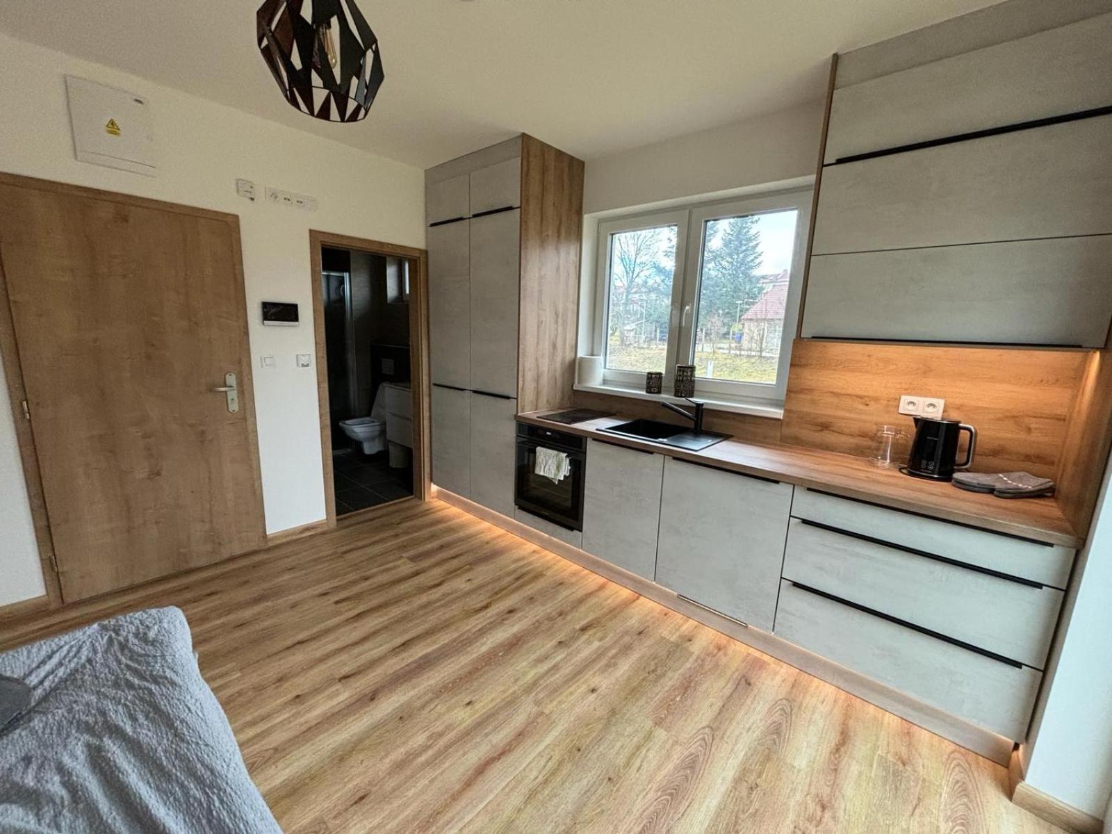 Apartmany U Plaze Lipna - Male Lipno Černá v Pošumaví Buitenkant foto